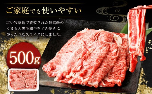 ＜ R8年熊本地震復興支援 ＞くまもと黒毛和牛 すき焼き ロース 切り落とし 500g お肉 肉 牛肉 黒毛和牛 和牛 冷凍 国産 九州産 熊本県 上天草市