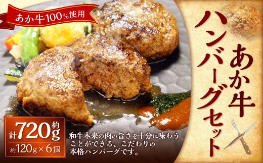 < R8年熊本地震復興支援 >あか牛100%ハンバーグセット(あか牛ハンバーグ約120g×6個) 合計720g あか牛 ハンバーグ 牛肉 お肉 肉 褐牛 褐毛和種 和牛 国産牛 セット 熊本県 上天草
