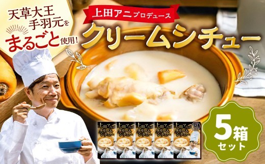 < R8年熊本地震復興支援 >上田アニのクリームシチュー5箱セット 250g×5箱 合計1.25kg シチュー クリームシチュー 天草大王 鶏肉 常温 熊本県 上天草市