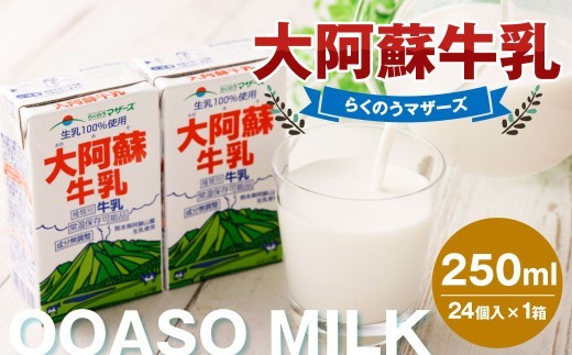 大阿蘇牛乳 250ml×24個入