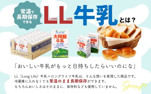 < R8年熊本地震復興支援 >大阿蘇牛乳 250ml×24個入(1箱) 牛乳 ミルク 成分無調整 紙パック パック ロングライフ 長期保存 常温 熊本県 上天草市