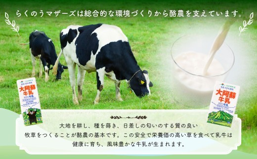 < R8年熊本地震復興支援 >大阿蘇牛乳 200ml×24個入(1箱) 牛乳 ミルク 成分無調整 紙パック パック ロングライフ 長期保存 常温 熊本県 上天草市