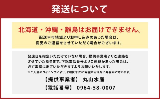 < R8年熊本地震復興支援 >【配送日指定品】上天草産の活き車えび!500g(約16~22尾)活き車海老 車海老 車えび えび エビ 海老 生きたまま お取り寄せ【発送期間2026年10月15日から2