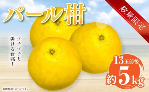 < R8年熊本地震復興支援 >【先行受付】【数量限定】パール柑 約5kg 13玉前後 柑橘 果物 フルーツ 熊本県 上天草市【2027年2月下旬~3月下旬順次発送】