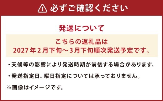 < R8年熊本地震復興支援 >【先行受付】【数量限定】パール柑 約5kg 13玉前後 柑橘 果物 フルーツ 熊本県 上天草市【2027年2月下旬~3月下旬順次発送】