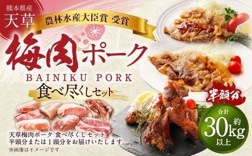 【豚半頭分!】完全無薬!梅肉エキス肥育 熊本県産 天草梅肉ポーク 食べ尽くしセット 半頭 約30kg以上 肉 お肉 豚肉 ポーク 詰め合わせ セット 冷凍 熊本県 上天草市