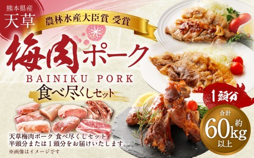 【豚1頭分!】完全無薬!梅肉エキス肥育 熊本県産 天草梅肉ポーク 食べ尽くしセット 一頭 約60kg以上 肉 お肉 豚肉 ポーク 詰め合わせ セット 冷凍 熊本県 上天草市