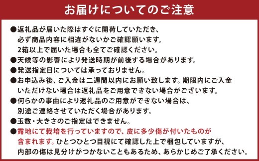 < R8年熊本地震復興支援 >【配送時期が選べる】【先行受付】 特別栽培みかん 10kg サイズミックス 極早生みかん 早生みかん 温州みかん みかん ミカン 蜜柑 フルーツ 柑橘 果物 果実 熊本県