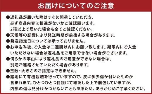 < R8年熊本地震復興支援 >【配送時期が選べる】【先行受付】 特別栽培みかん 7kg サイズミックス 極早生みかん 早生みかん 温州みかん みかん ミカン 蜜柑 フルーツ 柑橘 果物 果実 熊本県