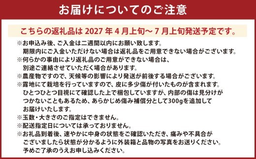 < R8年熊本地震復興支援 >【先行受付】特別栽培河内晩柑 7kg サイズミックス 特別栽培 河内晩柑 柑橘 晩柑 ばんかん バンカン フルーツ 果物 果実 九州産 熊本県産【2027年4月上旬~7月