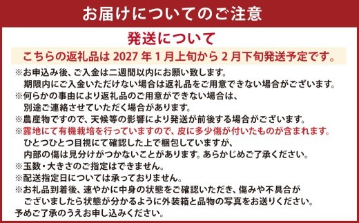 < R8年熊本地震復興支援 >【先行受付】特別栽培ポンカン 10kg サイズミックス 柑橘 ポンカン ぽんかん フルーツ 果物 果実 九州産 熊本県 上天草市【2027年1月上旬から2月下旬発送予定】
