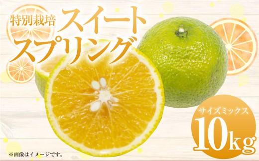 特別栽培スイートスプリング 10kg