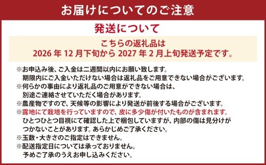＜ R8年熊本地震復興支援 ＞【先行受付】特別栽培スイートスプリング 10kg サイズミックス スイートスプリング みかん フルーツ 果物 果実 特別栽培 九州 熊本県産【2026年12月下旬から20