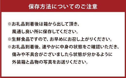 ＜ R8年熊本地震復興支援 ＞【先行受付】特別栽培スイートスプリング 10kg サイズミックス スイートスプリング みかん フルーツ 果物 果実 特別栽培 九州 熊本県産【2026年12月下旬から20