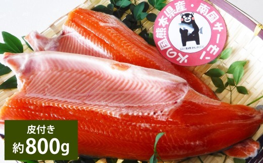 南国サーモン 約800g