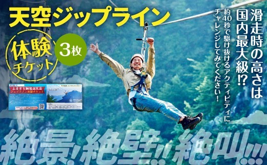 天空ジップライン 3名様体験チケット 3枚