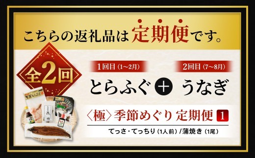 < R8年熊本地震復興支援 >【2回定期便】【極】季節めぐり定期便1 ふぐ フグ 河豚 とらふぐ トラフグ てっさ てっちり うなぎ ウナギ 鰻 熊本県 上天草市