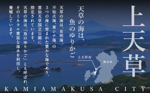 < R8年熊本地震復興支援 >【2回定期便】【極】季節めぐり定期便1 ふぐ フグ 河豚 とらふぐ トラフグ てっさ てっちり うなぎ ウナギ 鰻 熊本県 上天草市