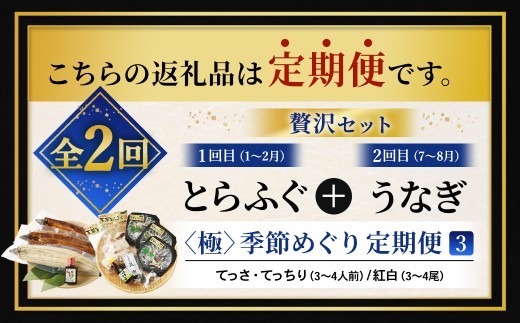 < R8年熊本地震復興支援 >【2回定期便】【極】季節めぐり定期便3 ふぐ フグ 河豚 とらふぐ トラフグ てっさ てっちり うなぎ ウナギ 鰻 熊本県 上天草市