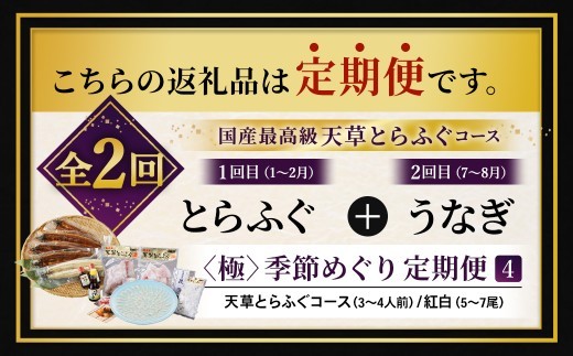 < R8年熊本地震復興支援 >【2回定期便】【極】季節めぐり定期便4 ふぐ フグ 河豚 とらふぐ トラフグ てっさ てっちり うなぎ ウナギ 鰻 熊本県 上天草市