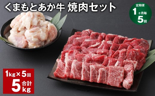 < R8年熊本地震復興支援 >【1ヶ月毎5回定期便】 くまもとあか牛 焼肉セット 計約5kg(約1kg×5回) 焼肉 もも ホルモン