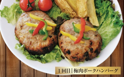 < R8年熊本地震復興支援 >【5回定期便】ご飯の味方定期便 ハンバーグ コロッケ 大砲巻き メンチカツ 定期 定期便 5種 揚げ物 惣菜 おかず 冷凍 国産 九州産 熊本県 上天草市