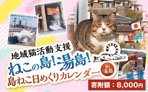 湯島ねこ募金 地域猫活動支援 ねこの島 湯島