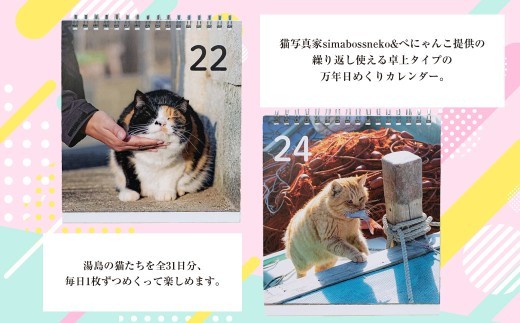 ＜ R8年熊本地震復興支援 ＞湯島ねこ募金 地域猫活動支援 【湯島猫部】ねこの島！湯島！ 「島ねこ日めくりカレンダーin湯島」 カレンダー 日めくり 日めくりカレンダー 猫 ねこ ネコ