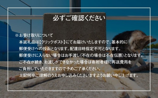 ＜ R8年熊本地震復興支援 ＞湯島ねこ募金 地域猫活動支援 【湯島猫部】ねこの島！湯島！ 「島ねこ日めくりカレンダーin湯島」 カレンダー 日めくり 日めくりカレンダー 猫 ねこ ネコ