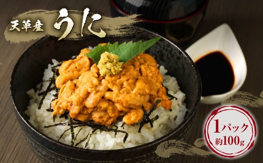 < R8年熊本地震復興支援 >お魚屋から直送!うに 1パック 約100g ウニ 雲丹 海鮮 刺し身 刺身 うに丼 熊本県 上天草市【発送期間2024年6月1日から2024年9月30日】