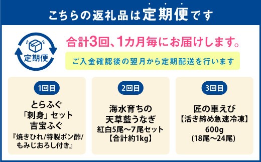 ＜ R8年熊本地震復興支援 ＞上天草海の幸 3回定期便 とらふぐ 刺身 刺し身 ふぐ刺し トラフグ ふぐ フグ 天草藍うなぎ うなぎ ウナギ 鰻 車エビ 車海老 車えび えび エビ 海老 定期便 3回