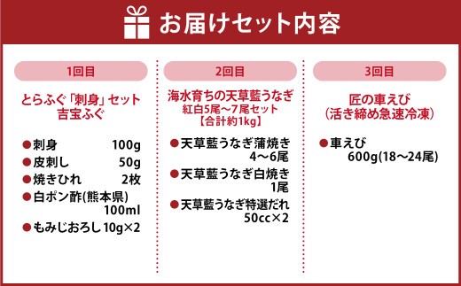 ＜ R8年熊本地震復興支援 ＞上天草海の幸 3回定期便 とらふぐ 刺身 刺し身 ふぐ刺し トラフグ ふぐ フグ 天草藍うなぎ うなぎ ウナギ 鰻 車エビ 車海老 車えび えび エビ 海老 定期便 3回