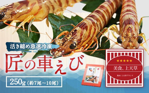 < R8年熊本地震復興支援 >匠の 車えび 【活き締め急速冷凍】 250g (7尾~10尾) 車海老 クルマエビ えび 海老 エビ 魚介 海鮮 冷凍