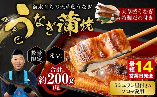 < R8年熊本地震復興支援 >【ミシュラン星付きのプロが愛用】1日10セット限定!海水育ちの天草藍うなぎ 蒲焼き 1尾セット【合計約200g】 数量限定!! 鰻 ウナギ うなぎ うなぎ蒲焼 鰻の蒲焼
