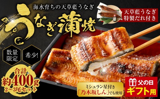 < R8年熊本地震復興支援 >【ギフト】【ミシュラン星付きのプロが愛用】数量限定!! 1日10セット限定!海水育ちの天草藍うなぎ 蒲焼き2尾~3尾セット【合計約400g】 鰻 ウナギ うなぎ うなぎ蒲