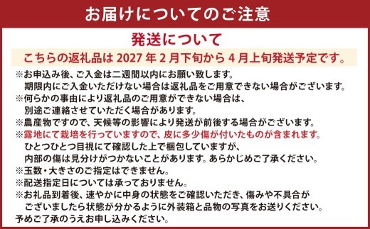 ＜ R8年熊本地震復興支援 ＞【先行受付】特別栽培パール柑（天草文旦） 9kg サイズミックス パール柑 文旦 天草文旦 柑橘 フルーツ 果物 果実 九州産 熊本県産【2027年2月下旬から4月上旬発