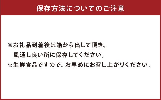 < R8年熊本地震復興支援 >【先行受付】特別栽培パール柑(天草文旦) 7kg サイズミックス パール柑 天草文旦 柑橘 果物 フルーツ 熊本県産【2027年2月下旬から4月上旬発送開始】
