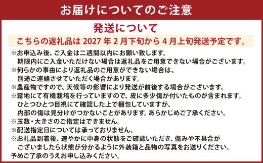 < R8年熊本地震復興支援 >【先行受付】特別栽培パール柑(天草文旦) 7kg サイズミックス パール柑 天草文旦 柑橘 果物 フルーツ 熊本県産【2027年2月下旬から4月上旬発送開始】