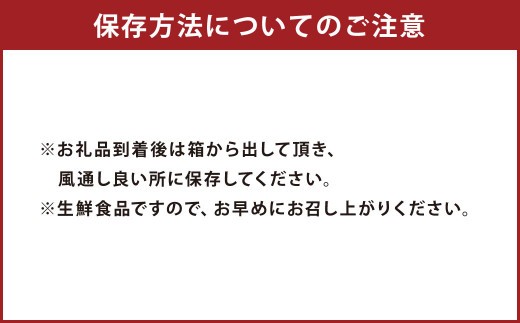 < R8年熊本地震復興支援 >【先行受付】特別栽培不知火 5kg サイズミックス 特別栽培 不知火 柑橘 デコポン でこぽん フルーツ 果物 果実 九州産 熊本県産【2027年3月上旬から4月上旬発送