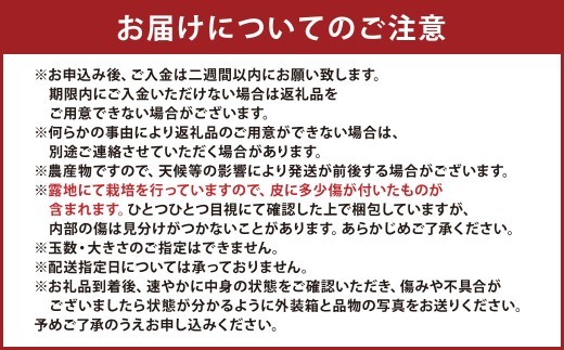 < R8年熊本地震復興支援 >【先行受付】特別栽培不知火 5kg サイズミックス 特別栽培 不知火 柑橘 デコポン でこぽん フルーツ 果物 果実 九州産 熊本県産【2027年3月上旬から4月上旬発送