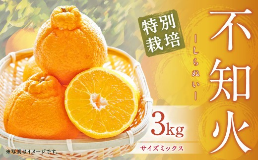 < R8年熊本地震復興支援 >【先行受付】特別栽培不知火 3kg サイズミックス 不知火 しらぬい 柑橘 果物 みかん フルーツ デザート【2027年3月上旬から4月上旬発送予定】