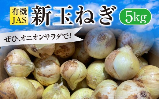 ＜ R8年熊本地震復興支援 ＞【先行受付】 有機JAS 新玉ねぎ 5kg 玉ねぎ 新たまねぎ 玉葱 たまねぎ 新玉 新玉葱 野菜【2027年3月上旬から4月上旬発送予定】