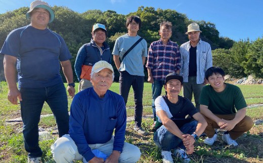 ＜ R8年熊本地震復興支援 ＞【先行受付】 有機JAS 新玉ねぎ 5kg 玉ねぎ 新たまねぎ 玉葱 たまねぎ 新玉 新玉葱 野菜【2027年3月上旬から4月上旬発送予定】