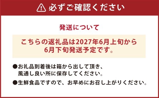 < R8年熊本地震復興支援 >【先行受付】 とうもろこし ピュアホワイト 約4kg (11~16本) トウモロコシ 白いとうもろこし 白いスイートコーン コーン 野菜 【2027年6月上旬から6月下旬