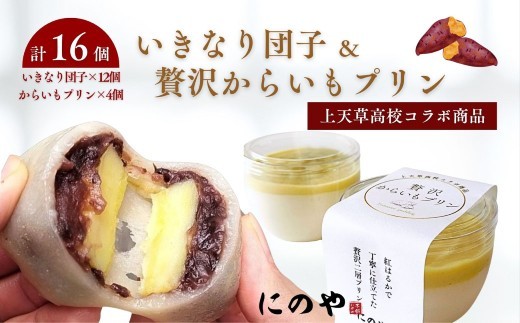 いきなり団子 12個 & 贅沢からいもプリン 4個 【 上天草高校コラボ返礼品 】 合計16個 お菓子 菓子 洋菓子 スイーツ デザート おやつ 冷凍 詰め合わせ 食べ比べ セット