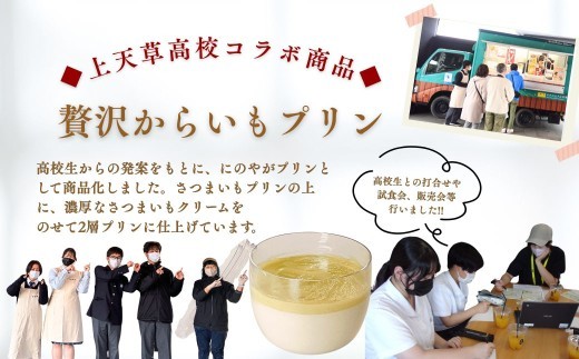いきなり団子 12個 & 贅沢からいもプリン 4個 【 上天草高校コラボ返礼品 】 合計16個 お菓子 菓子 洋菓子 スイーツ デザート おやつ 冷凍 詰め合わせ 食べ比べ セット