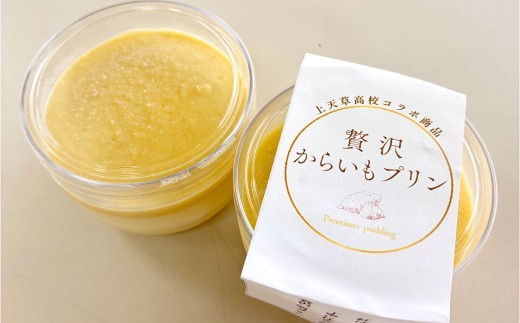 いきなり団子 12個 & 贅沢からいもプリン 4個 【 上天草高校コラボ返礼品 】 合計16個 お菓子 菓子 洋菓子 スイーツ デザート おやつ 冷凍 詰め合わせ 食べ比べ セット