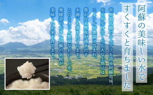【選べる回数】 ミルキークイーン 5㎏ 5キロ 1回 3回 6回 12回 15kg 15キロ 30㎏ 30キロ 60㎏ 60キロ 定期 定期便 毎月 ミルキークィーン みるきーくいーん 米 こめ コメ