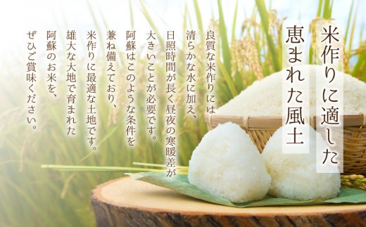 【選べる回数】 ミルキークイーン 5㎏ 5キロ 1回 3回 6回 12回 15kg 15キロ 30㎏ 30キロ 60㎏ 60キロ 定期 定期便 毎月 ミルキークィーン みるきーくいーん 米 こめ コメ