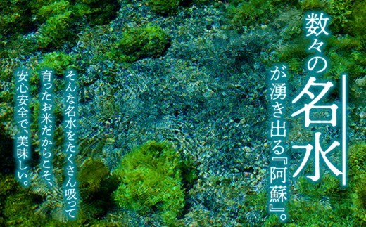 【選べる品種】 特別栽培米 コシヒカリ 約30kg×1（玄米）約27kg×1（白米）阿蘇アグロスタイル  米 ごはん 人気 美味しい 甘味 もちもち なめらか 減農薬 湧水 熊本県 阿蘇市